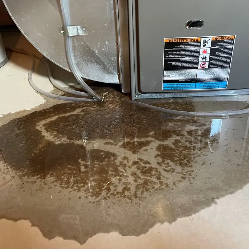 Pipe Burst and Leak Restoration in McIntosh, NM