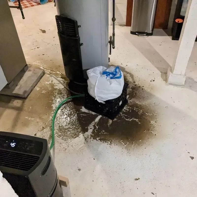 Sewage Backup Cleanup Service in McIntosh, NM